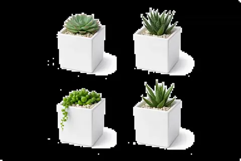 Glossy Square, White pot — HV-WHT-004, H 7.5 × D 7.5 cm