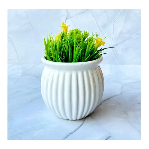 Small Melon, White pot — HV-WHT-006, H 10 × D 11.5 cm