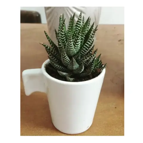 Big Cylindrical Pot, White pot — HV-WHT-014, H 12.5 × D 12.5 cm