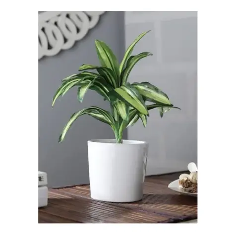 Small Cylindrical Pot, White pot — HV-WHT-015, H 10 × D 10 cm