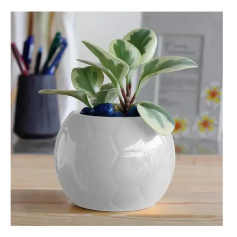 Football Pot, White pot — HV-WHT-018, H 10 × D 12.5 cm