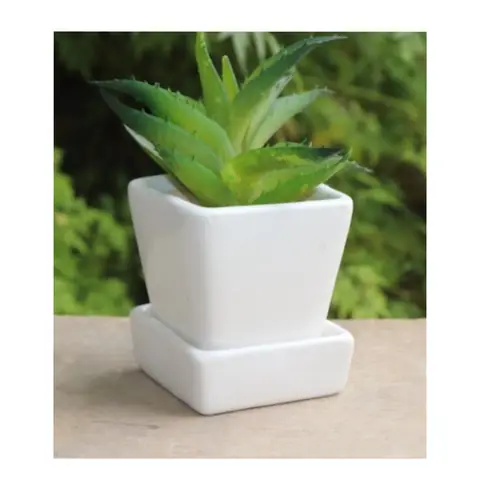 Taper with Plate, White pot — HV-WHT-019, H 9 × D 7.5 cm