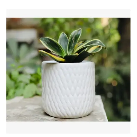 Chatayi Pot, White pot — HV-WHT-022, H 14 × D 12.5 cm