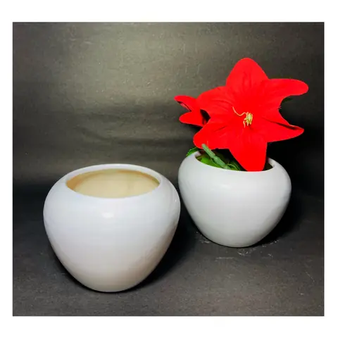 Medium Apple, White pot — HV-WHT-026, H 10 × D 10 cm