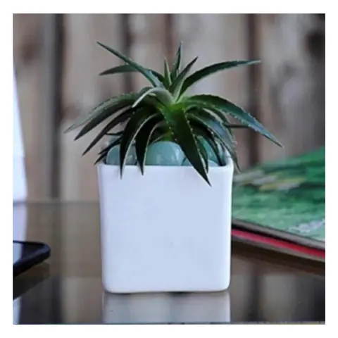 Small Square, White pot — HV-WHT-027, H 7.5 × D 7.5 cm