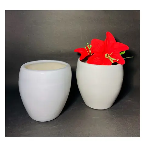 Small Coconut, White pot — HV-WHT-032, H 11.5 × D 10 cm