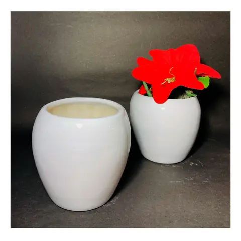 Big Coconut, White pot — HV-WHT-033, H 14 × D 12.5 cm