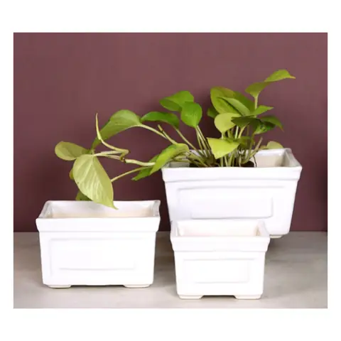 Rectangle — set of 3, White pot — HV-WHT-037, H 11.5 × D 20.5 / H 10 × D 16.5 / H 9 × D 12.5 cm