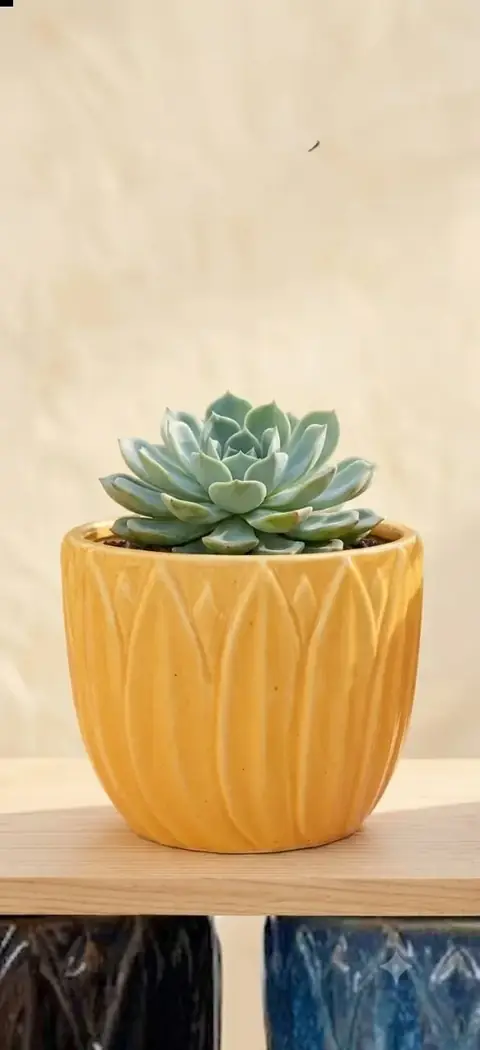 Zimmerpflanzentopf — HV-IND-016, H 23 × D 23 cm