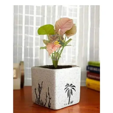 Printed Square Box, Zimmerpflanzentopf — HV-IND-167, H 10 × D 10 cm