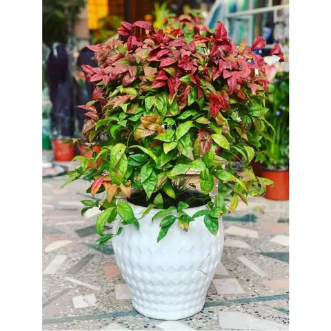 XL Bulb, Outdoor planter — HV-OUT-122, H 30.5 × D 30.5 cm