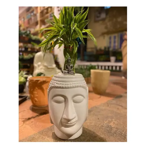 XXL Buddha, Sculptural pot — HV-STA-030, H 35.5 × D 20.5 cm