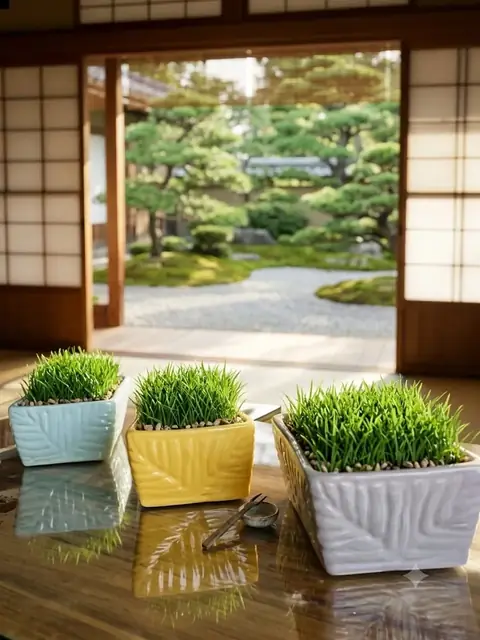 Bonsai planter — HV-BON-006, H 10 × D 20.5 × L 25.5 cm