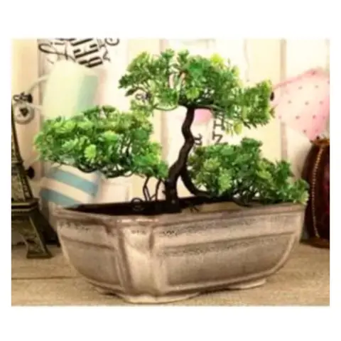 Big Bonsai, Bonsai planter — HV-BON-032, H 10 × D 33 cm