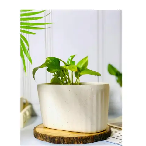 Liine Basket, Bonsai planter — HV-BON-035, H 18 × D 20.5 cm