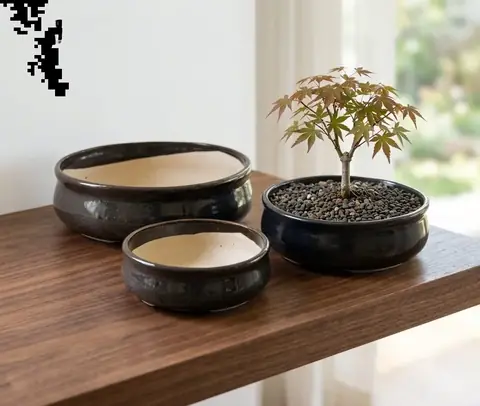 Lots de pots